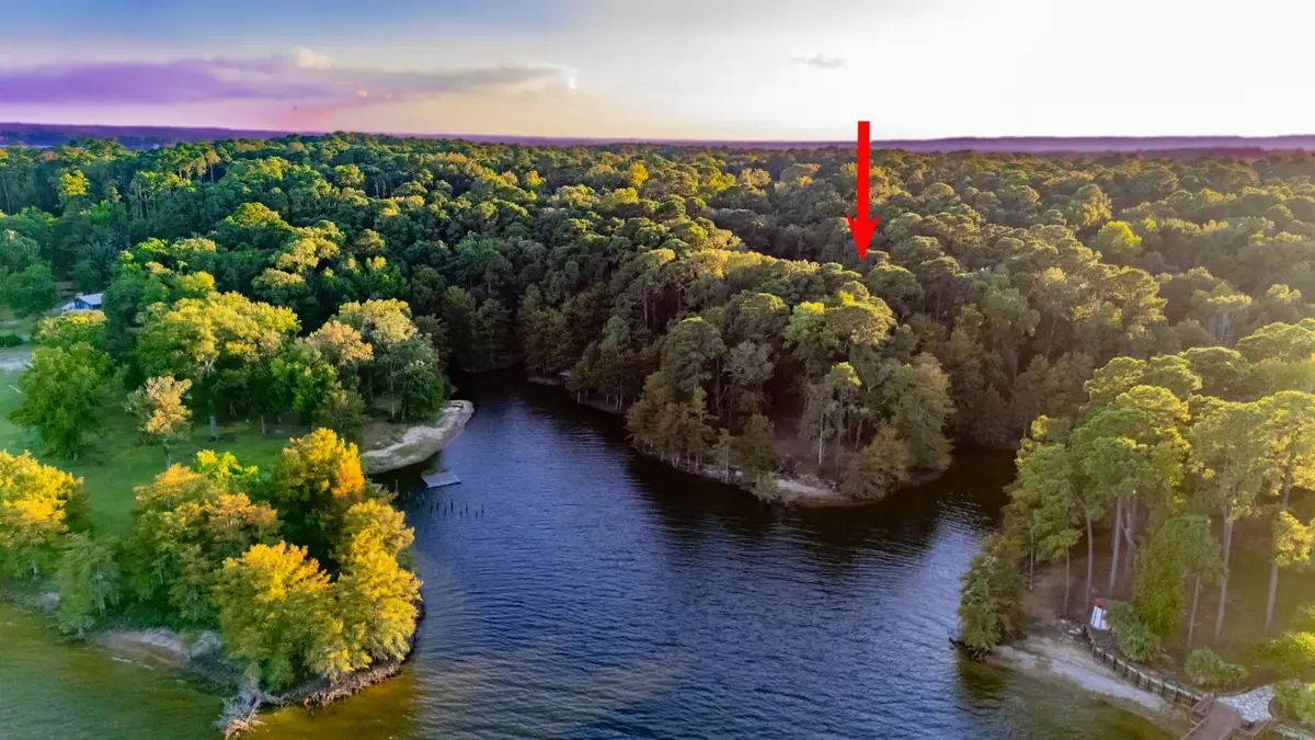 477 Lakeshore Drive, Hemphill, TX 75948 - Image #1