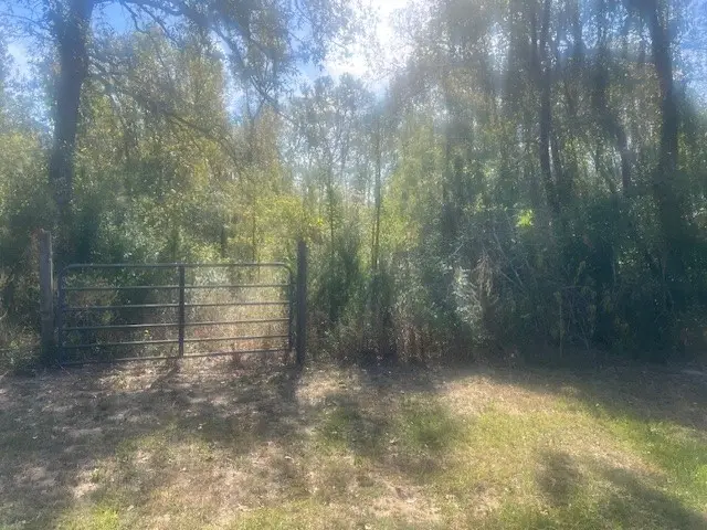 Lot 12 Sam Houston, Willis, TX 77378 - Image #2