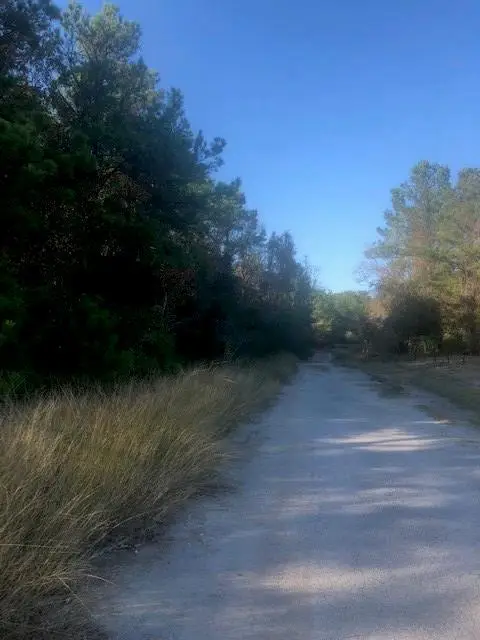 0 Atascocita Road, Humble, TX 77346 - Image #2