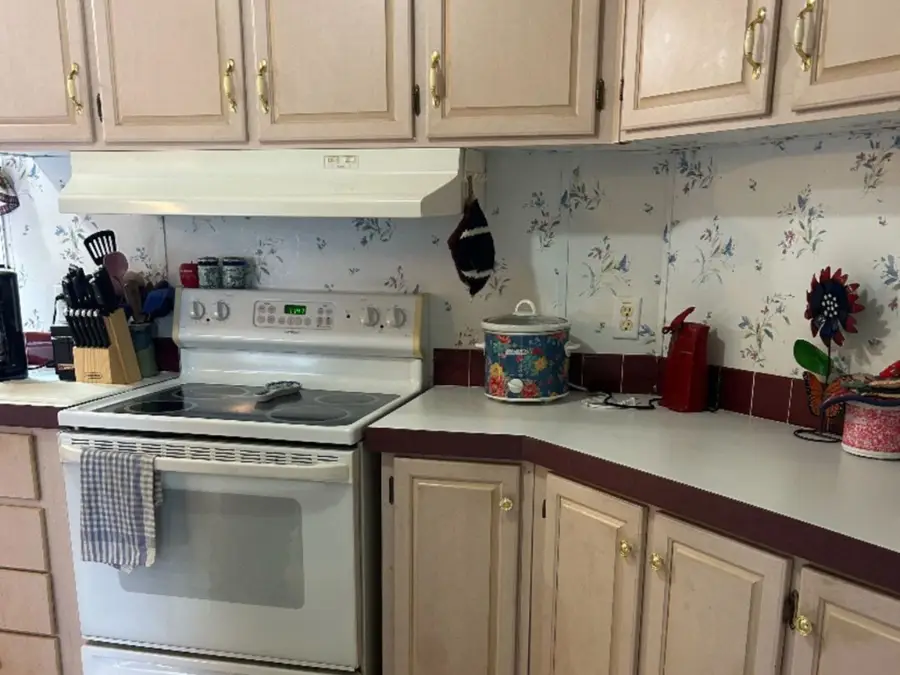 227 E Castleshoals Drive, Granite Shoals, TX 78654 - Image #2