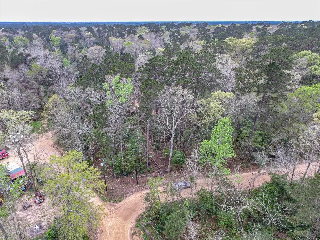 TBD Gene Autry Trail, Livingston, TX 77351 - #1