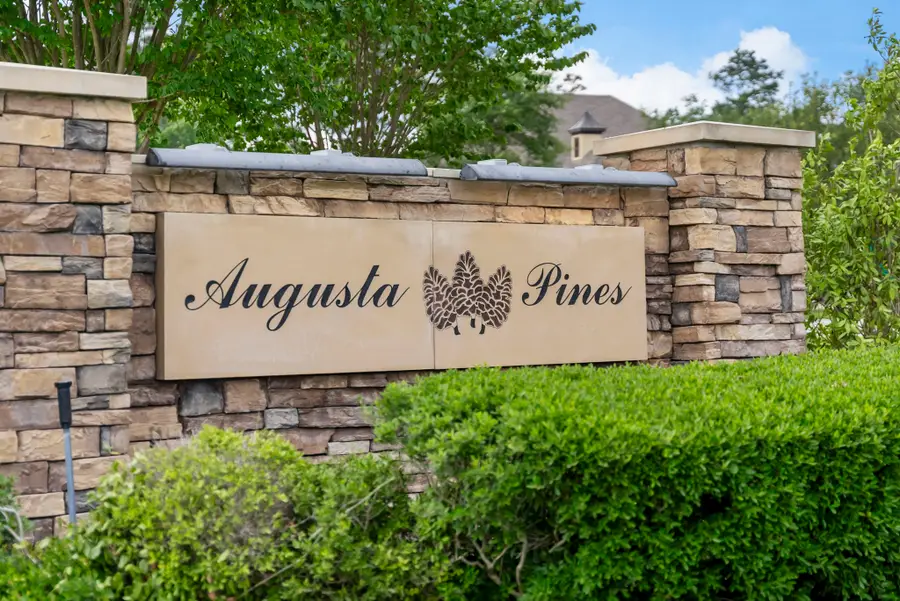 25514 Long Iron Court, Spring, TX 77389 - Image #2