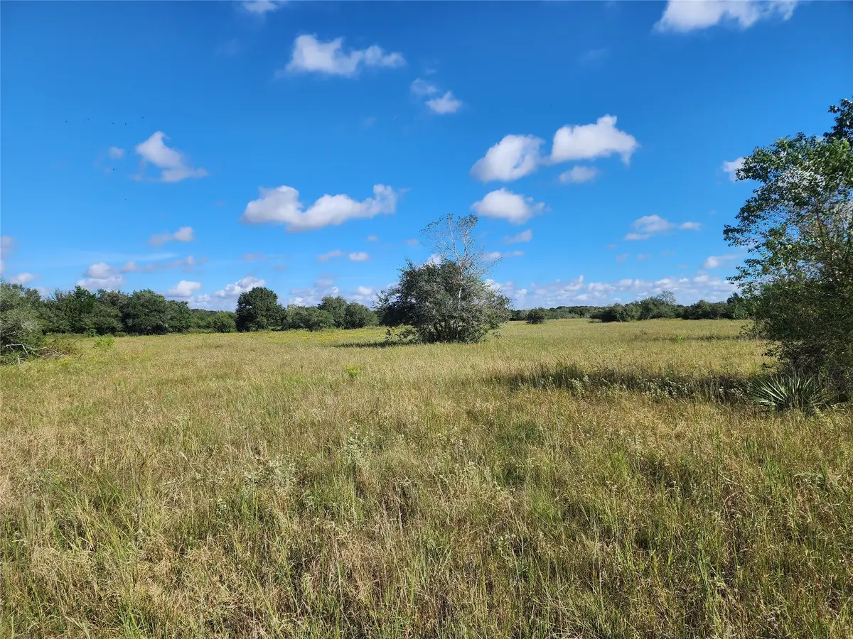 000 Fm 445 S, Francitas, TX 77961 - Image #1