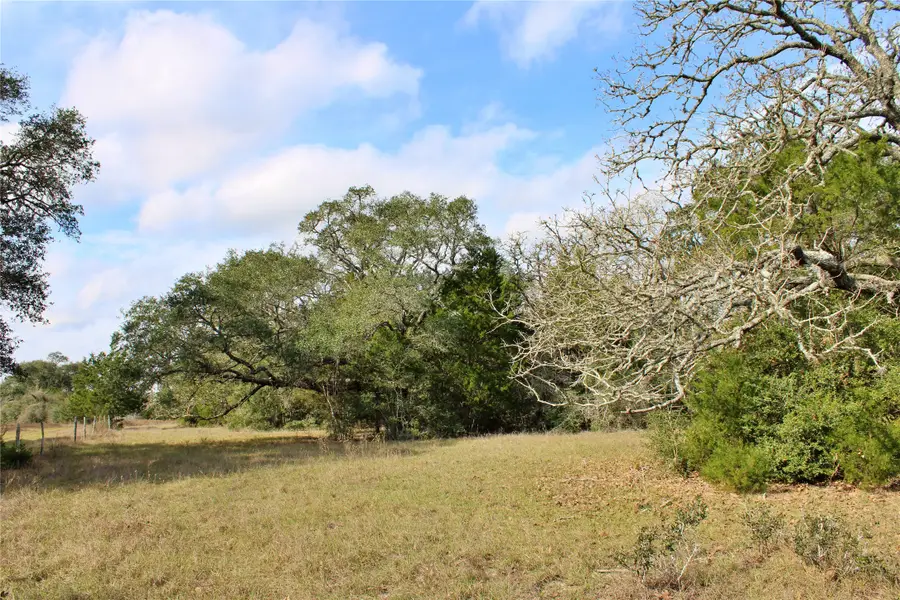 TBD Parcel 7 Lobo Lane, Columbus, TX 78934 - #3