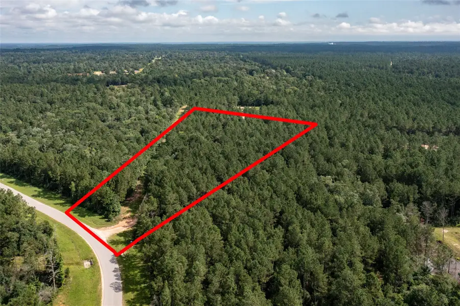 10775 Ruger Road, Willis, TX 77378 - #2