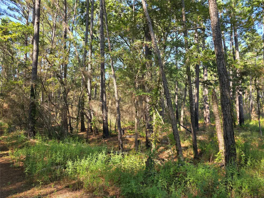 00 Hackberry Drive, Plantersville, TX 77363 - #3