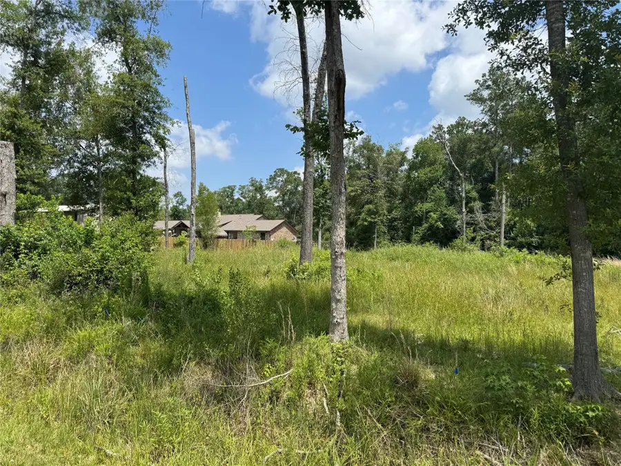 35 Sycamore, Woodbranch, TX 77357 - Image #3