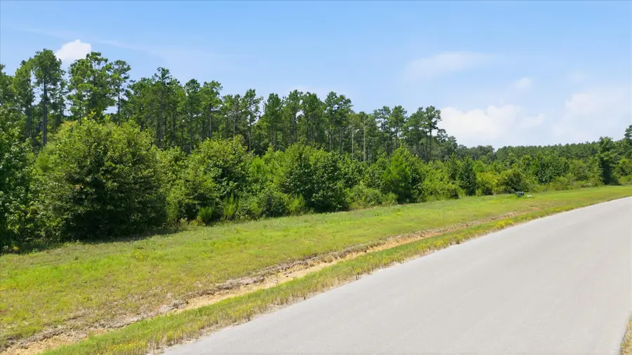 15977 Ridge Oak Road, Willis, TX 77378 - #2