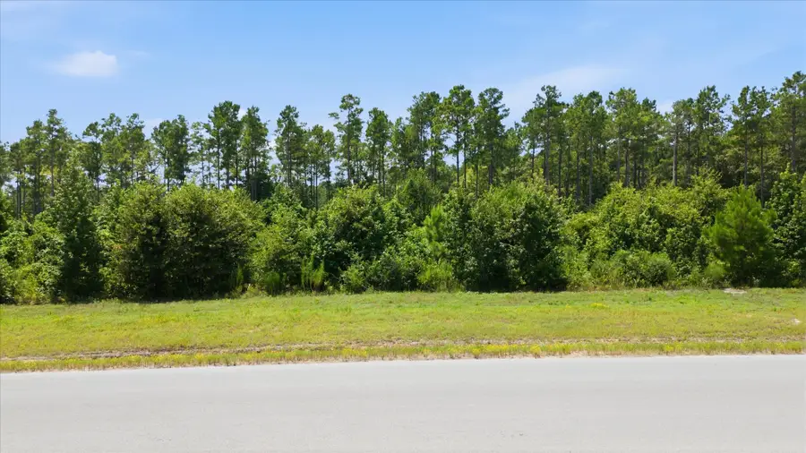 15977 Ridge Oak Road, Willis, TX 77378 - #3