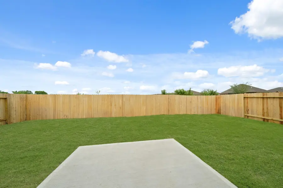 29202 Dandelion Sky Drive, Waller, TX 77484 - #2
