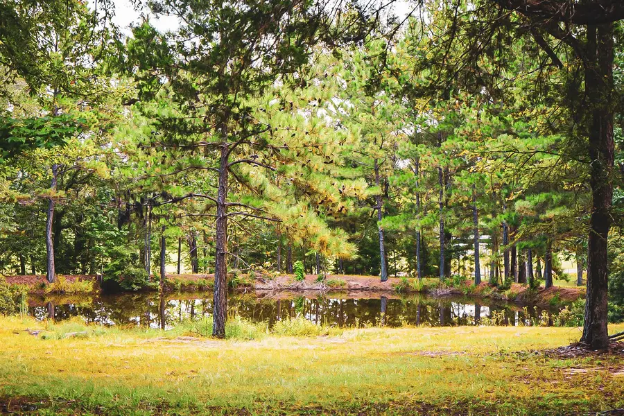 3540 Fm 352, Corrigan, TX 75939 - Image #2