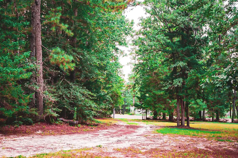 3540 Fm 352, Corrigan, TX 75939 - Image #3