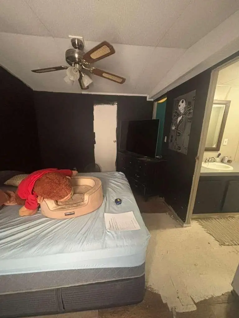 301 Morocco Drive, Point Blank, TX 77364 - Image #3