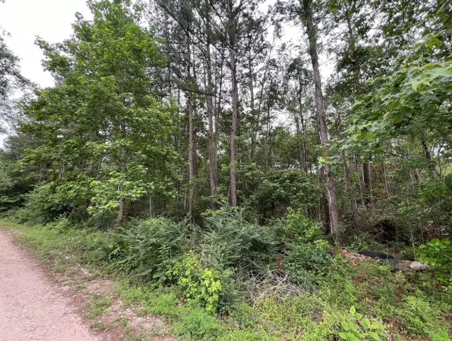 19165 & 19169 Yorkshire, New Caney, TX 77357 - Image #2