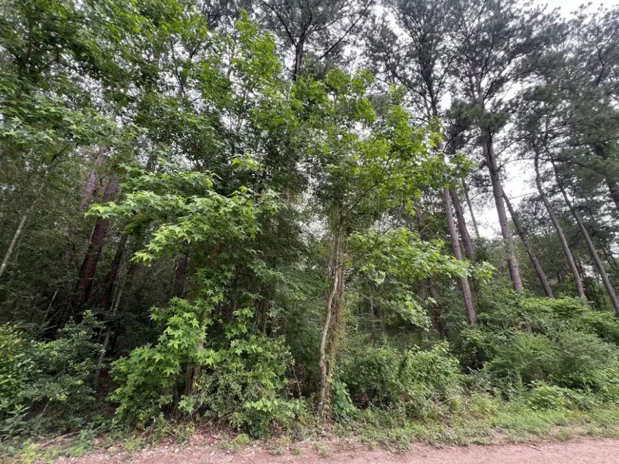 19165 & 19169 Yorkshire, New Caney, TX 77357 - Image #3