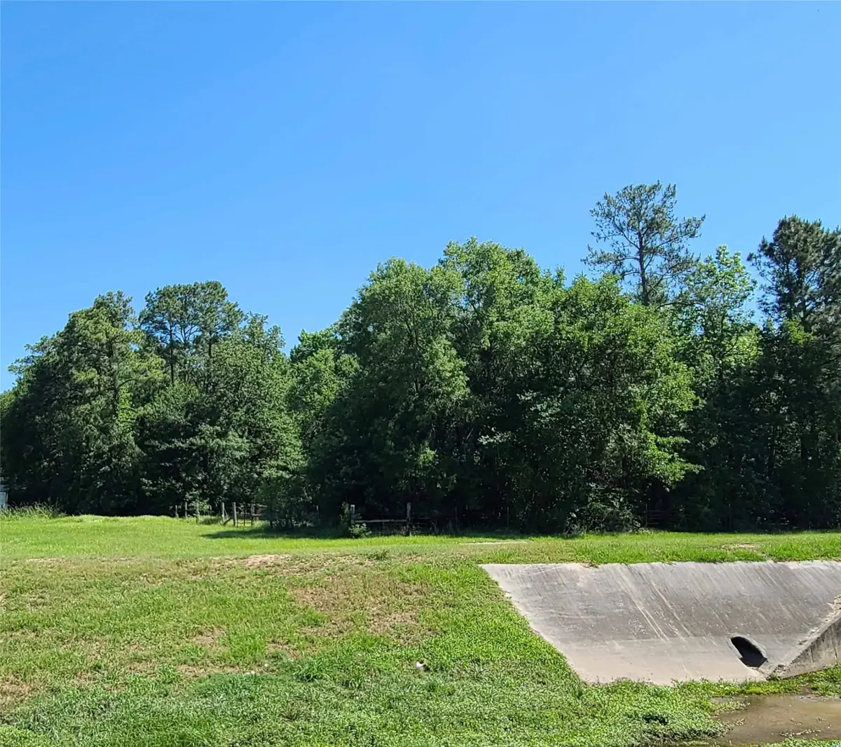 411 Springwood Drive, Conroe, TX 77385 - Image #1