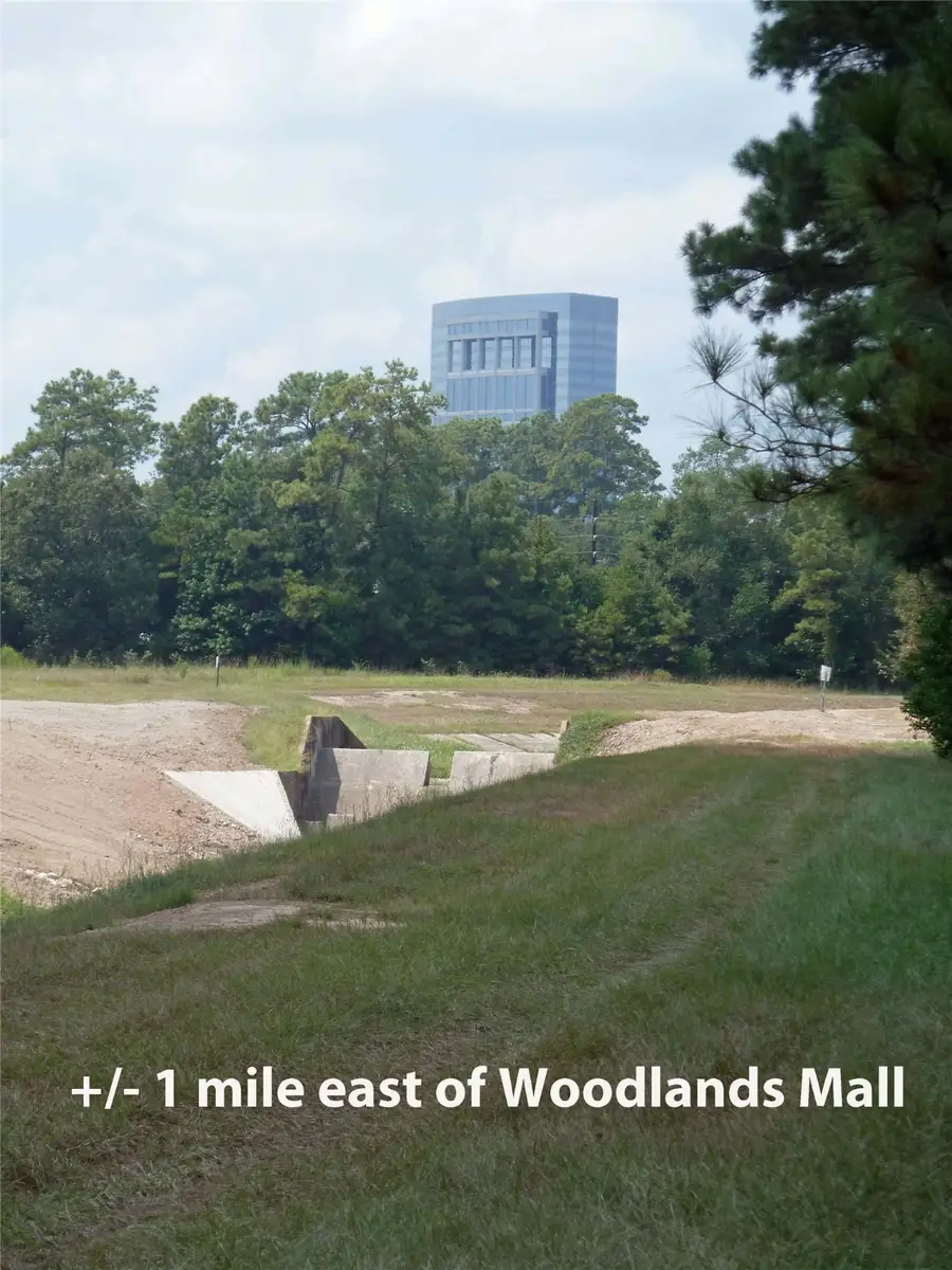 411 Springwood Drive, Conroe, TX 77385 - Image #3