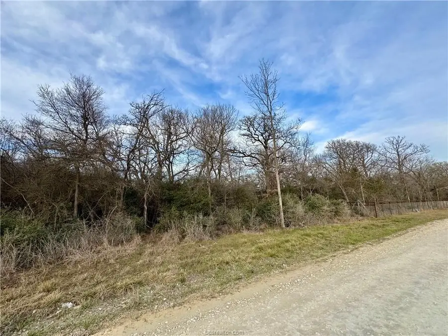 10075 River Ridge Drive, Hearne, TX 77859 - #3