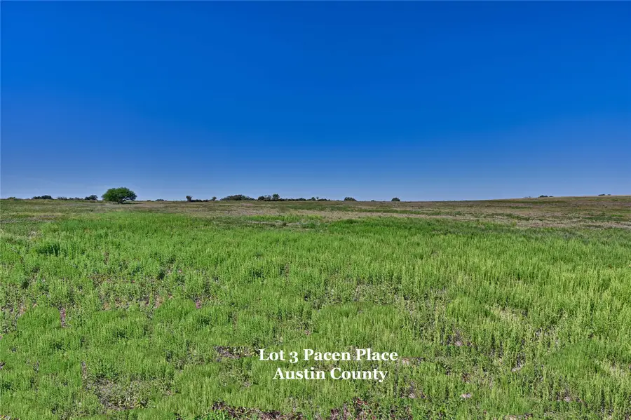 Lot 3 Pacen Place, Chappell Hill, TX 77426 - Image #3
