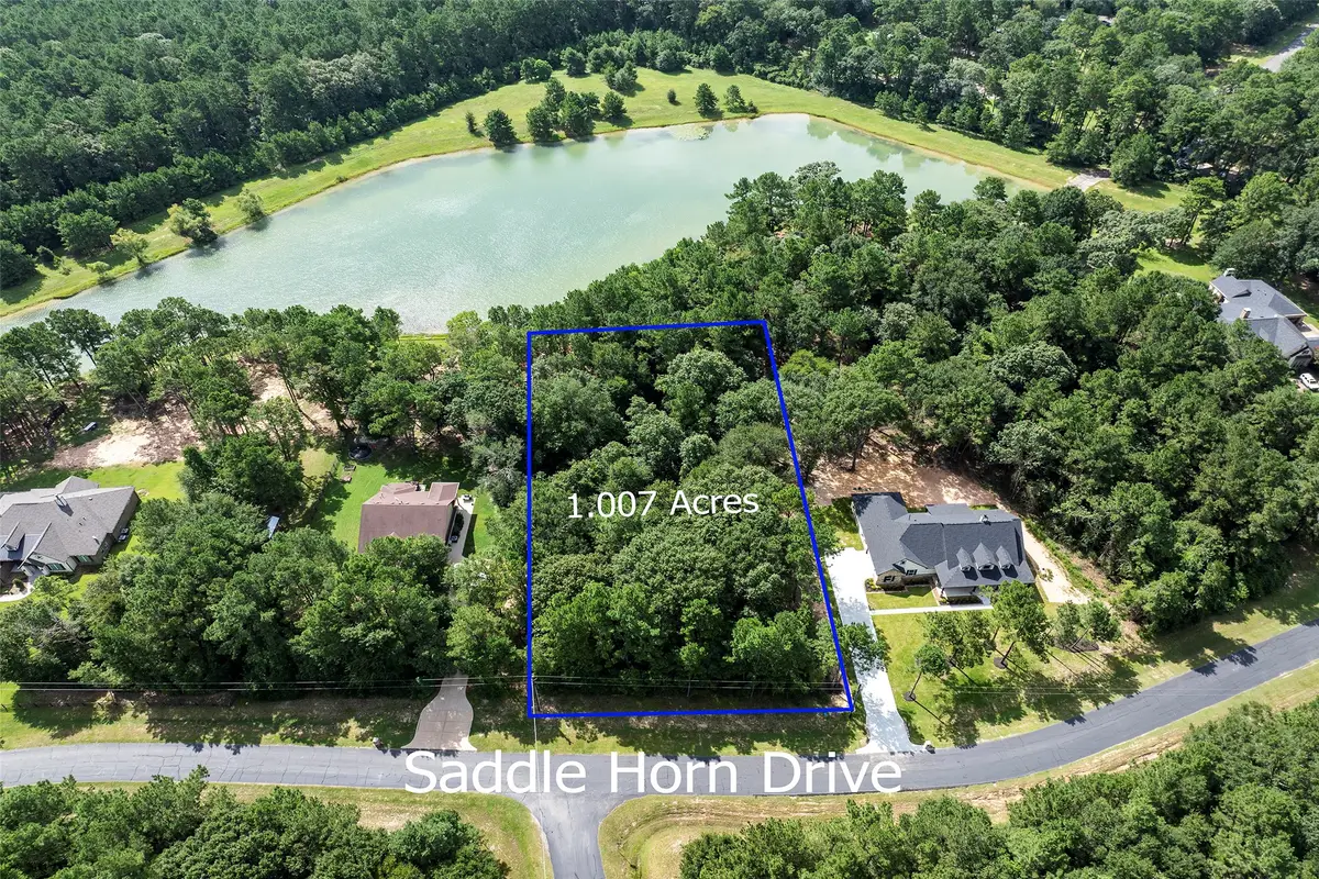 27140 Saddlehorn Drive, Waller, TX 77484 - #1