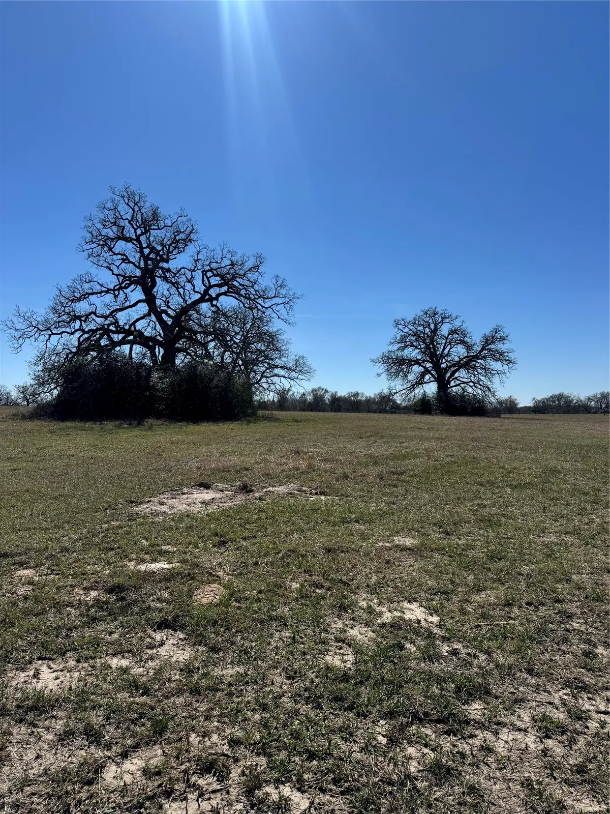 TBD Connor Landing Ct, Madisonville, TX 77864 - #1