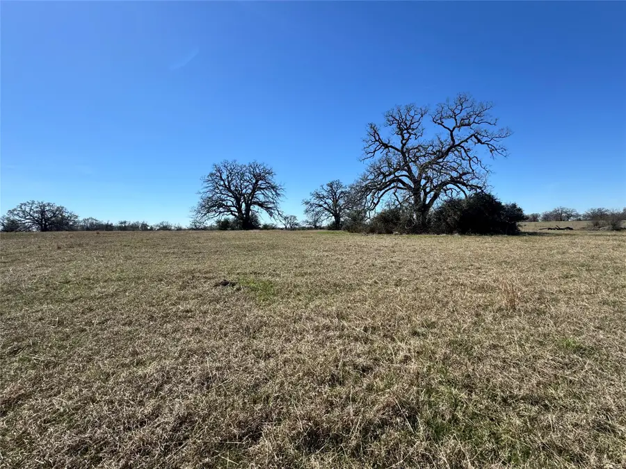 TBD Connor Landing Ct, Madisonville, TX 77864 - #2