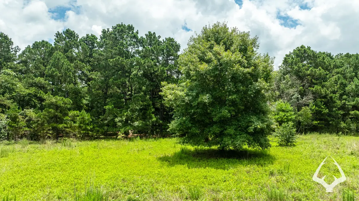 00 County Road 2265, Grapeland, TX 75844 - #1