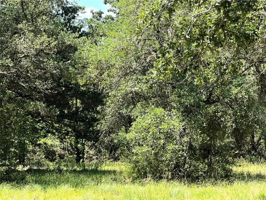 15136 County Road 424, Somerville, TX 77879 - Image #3