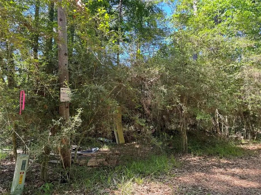 183 Mockingbird Ln, Trinity, TX 75862 - Image #2