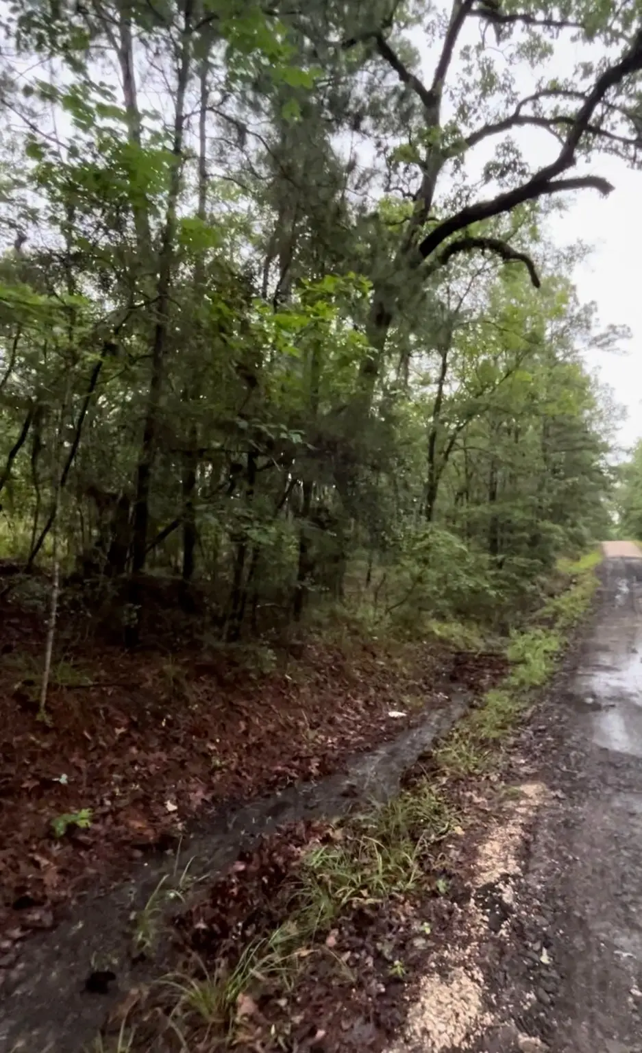 0000 Lake Circle Drive, Broaddus, TX 75929 - Image #1