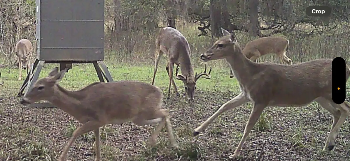 2751 Fm 2434, Columbus, TX 78962 - Image #1