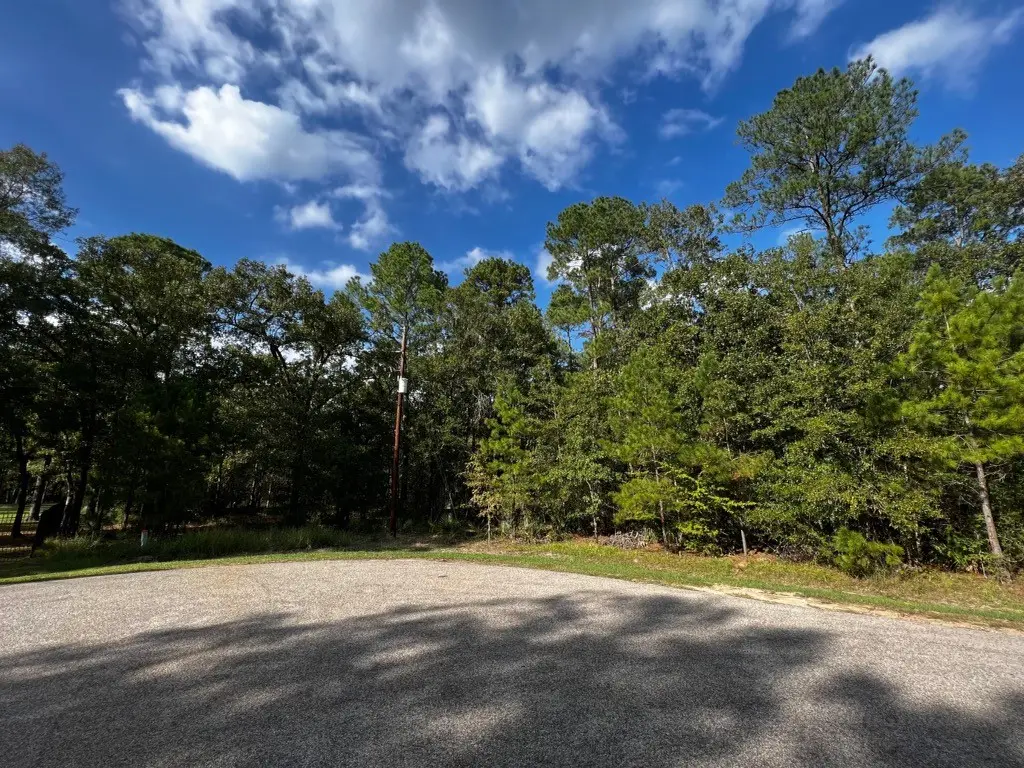 11805 & 11809 White Oak Pass, Conroe, TX 77385 - Image #1