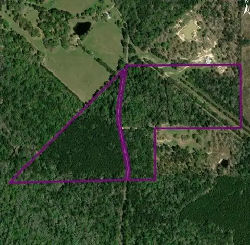 TBD Old White Oak Road, Thicket, TX 77374 - #1