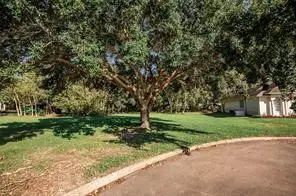 4 Stoneybrook Lane, Bay City, TX 77414 - Image #2