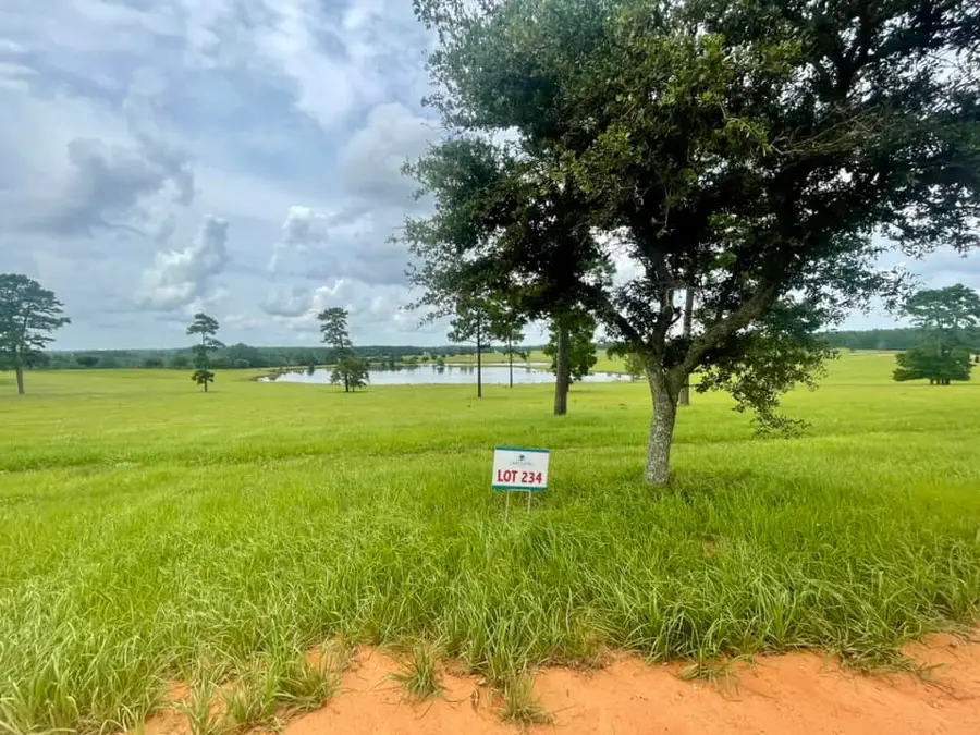 Lot 234 Lakeland Ranch, Hillister, TX 77624 - #3