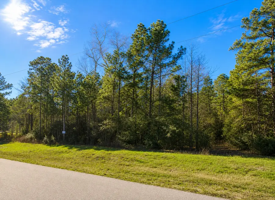 10-29-6 Lonestar Road, Huntsville, TX 77340 - #3