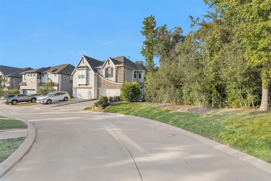 579 Long Leaf Pine Drive, Montgomery, TX 77316 - Image #3