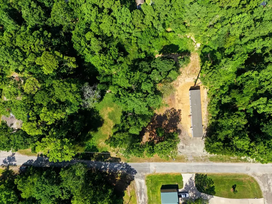 N/A Moose Drive, Onalaska, TX 77360 - #2