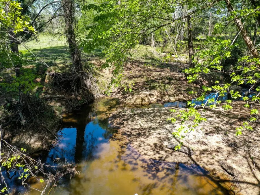 11 Acres Black Jack Rd, Huntsville, TX 77340 - Image #3