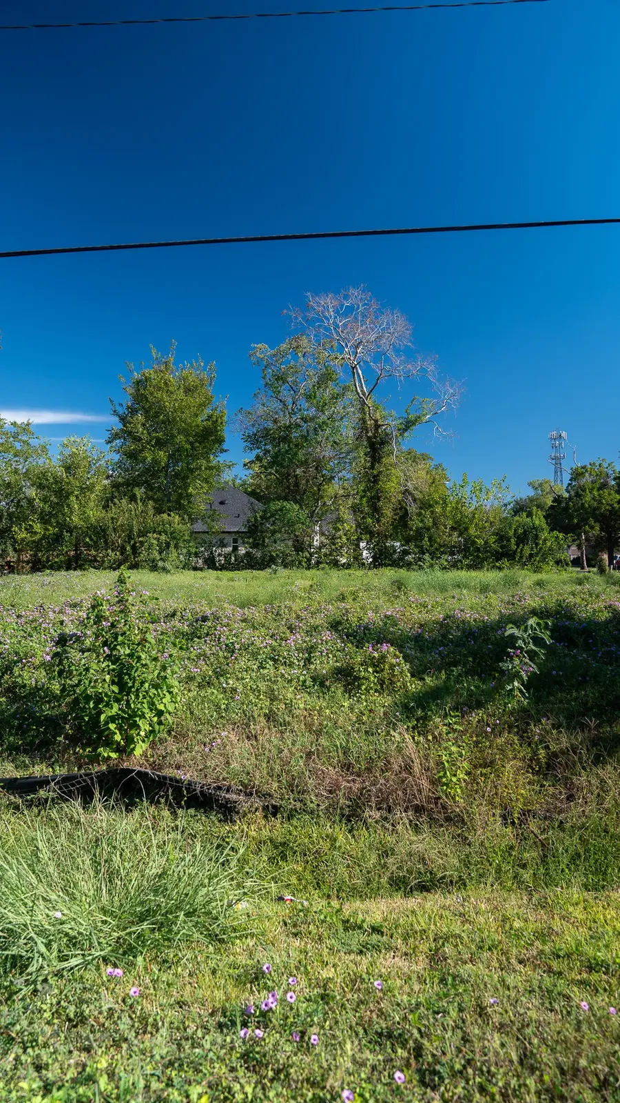1126 Niagara Street, Houston, TX 77051 - #2