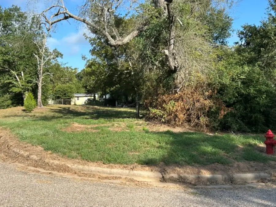 1502 15th Street, Hempstead, TX 77445 - #2