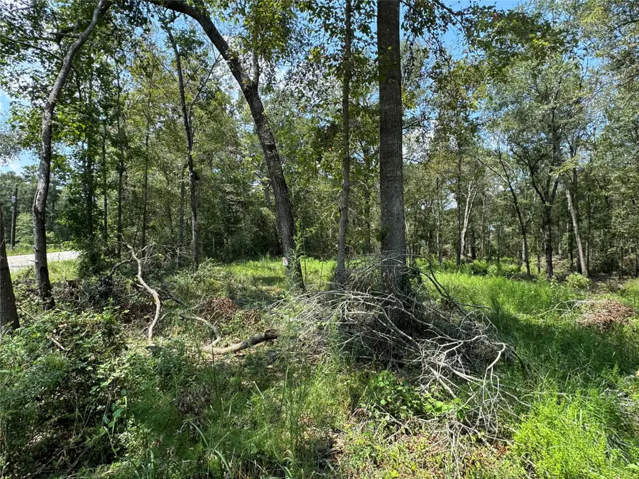 19959 Old Highway 105, Cleveland, TX 77328 - #2
