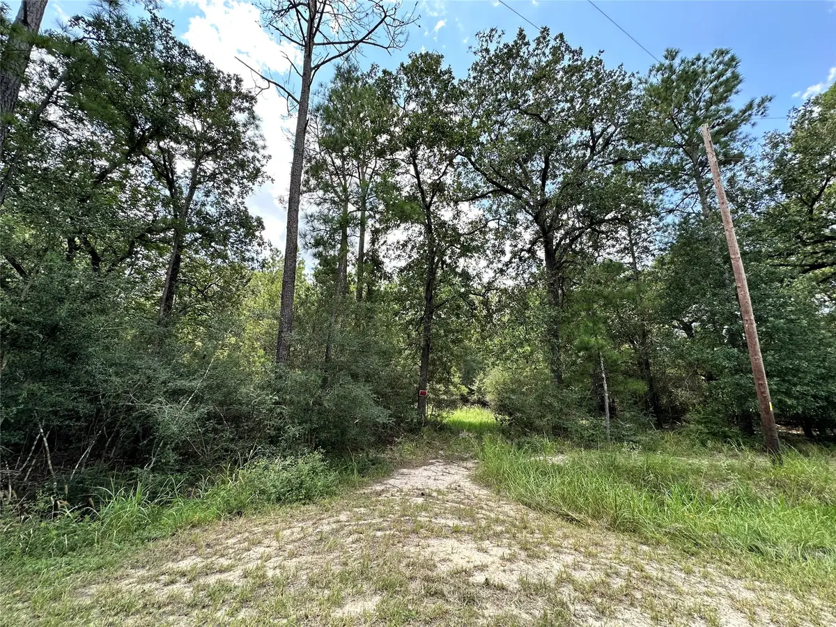 Lot 152 Nottingham Circle, Hockley, TX 77447 - Image #1