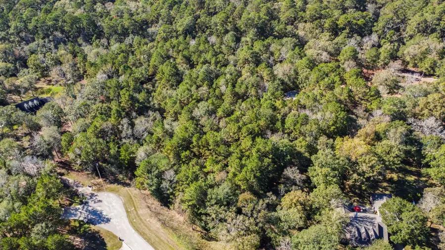 102 Forest Wind Court, Montgomery, TX 77316 - Image #2