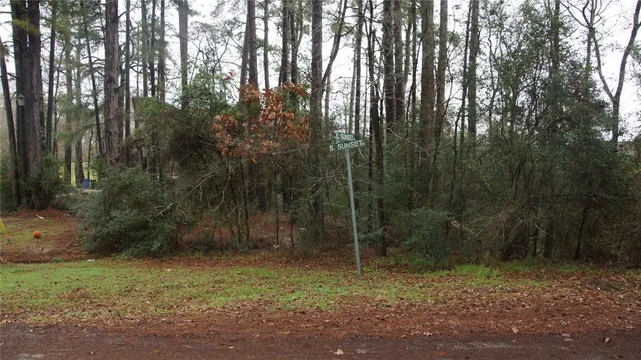 TBD S Sunset Drive, Onalaska, TX 77360 - Image #3