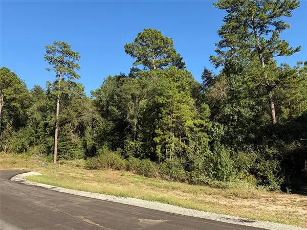 236 Hollow Hill Drive, Huntsville, TX 77358