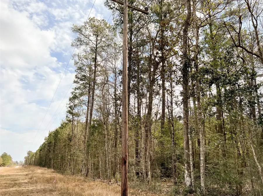 6 Fm 1746, Spurger, TX 77660 - Image #3