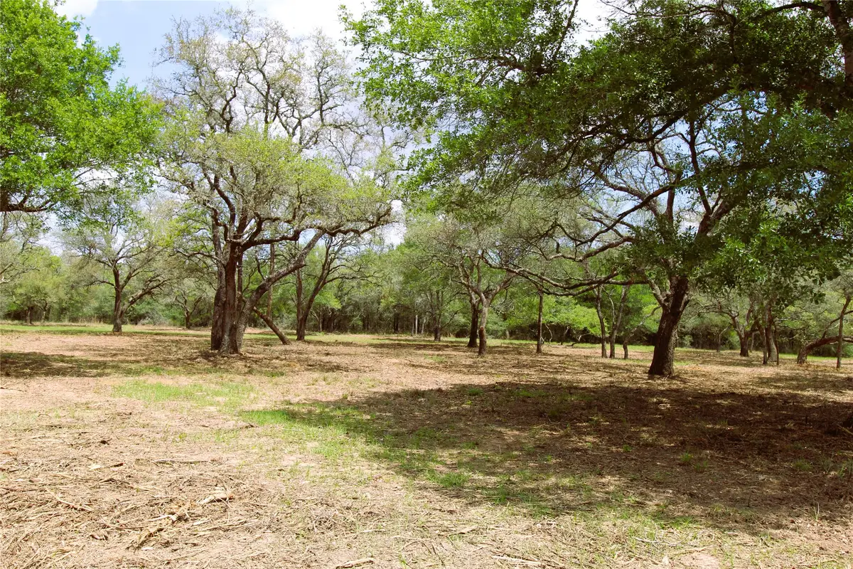 1105 Lakewood Lane, Sheridan, TX 78962 - #1