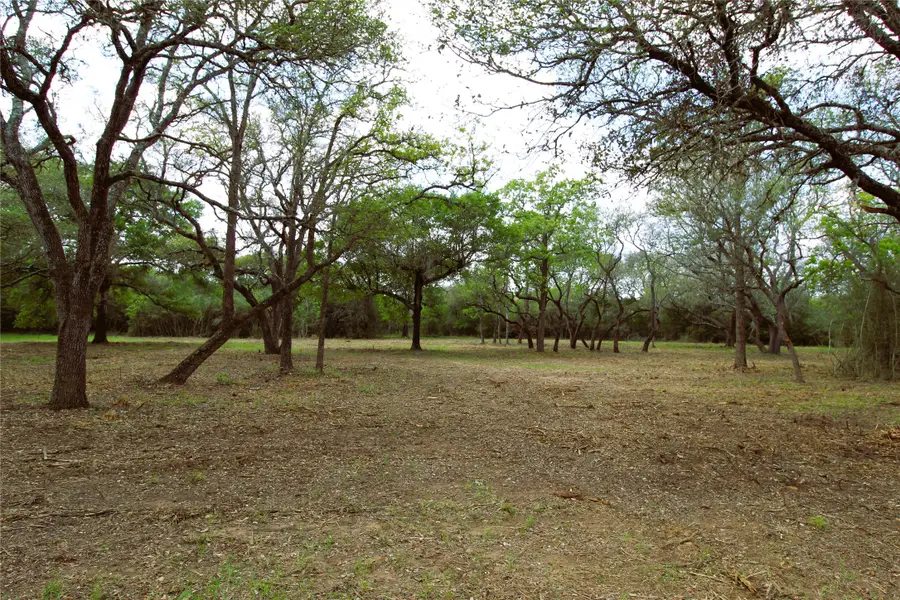 1105 Lakewood Lane, Sheridan, TX 78962 - #3