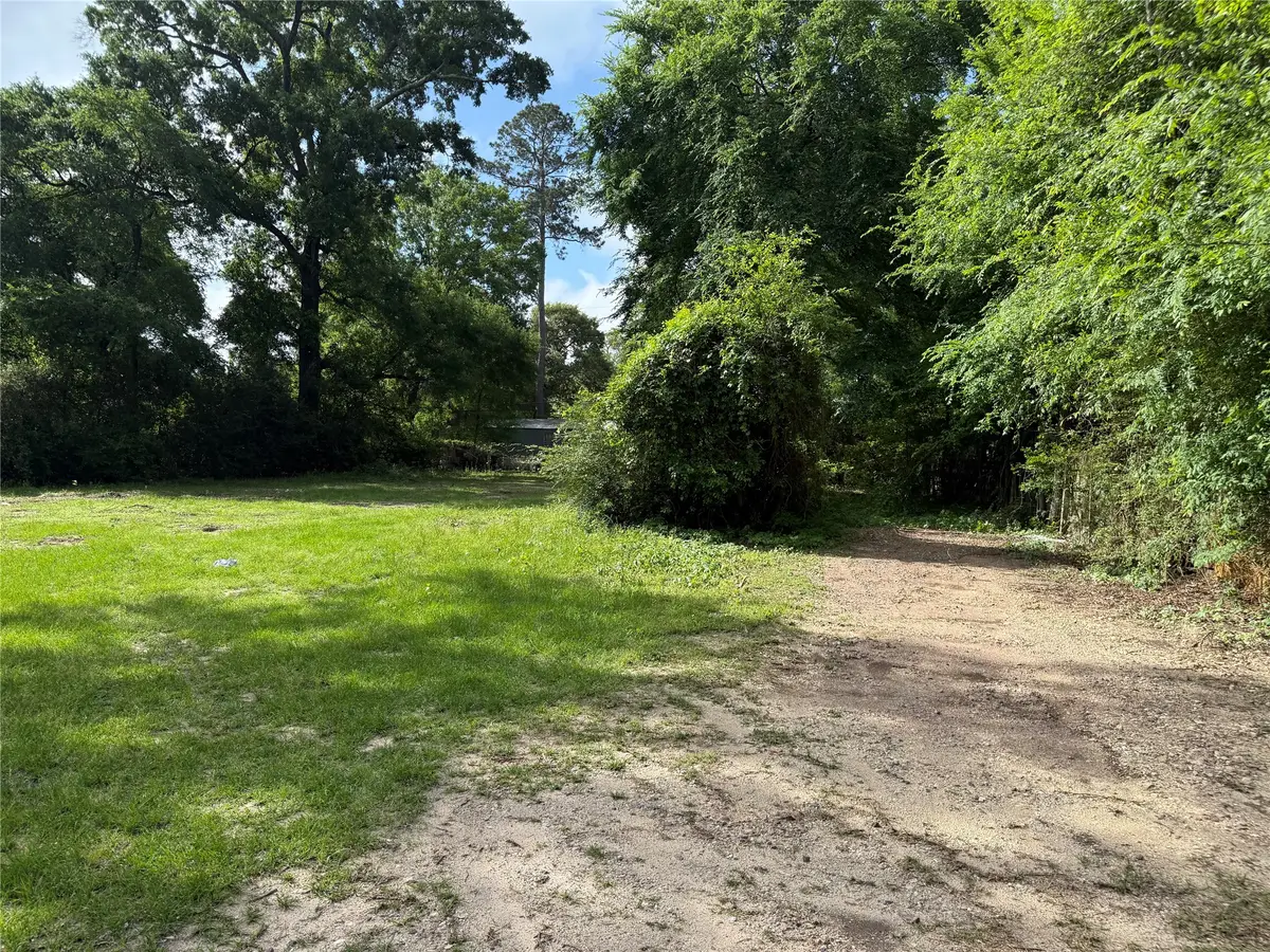 29107 Portsoy Drive, Magnolia, TX 77354 - #1